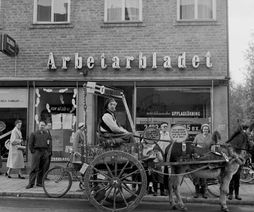10. Åsna med praktvagn, 1955. Fotograf Carl Björk