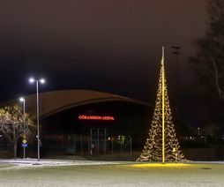 Rondellgran vid Circle K, Årsundavägen i december 2021